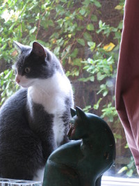 Who me?